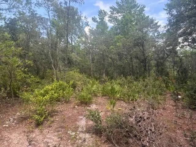 0 Us Hwy 27, Lake Wales, FL 33859 - #3