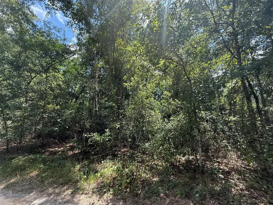 313 Calhoun Avenue, Florahome, FL 32140 - #2