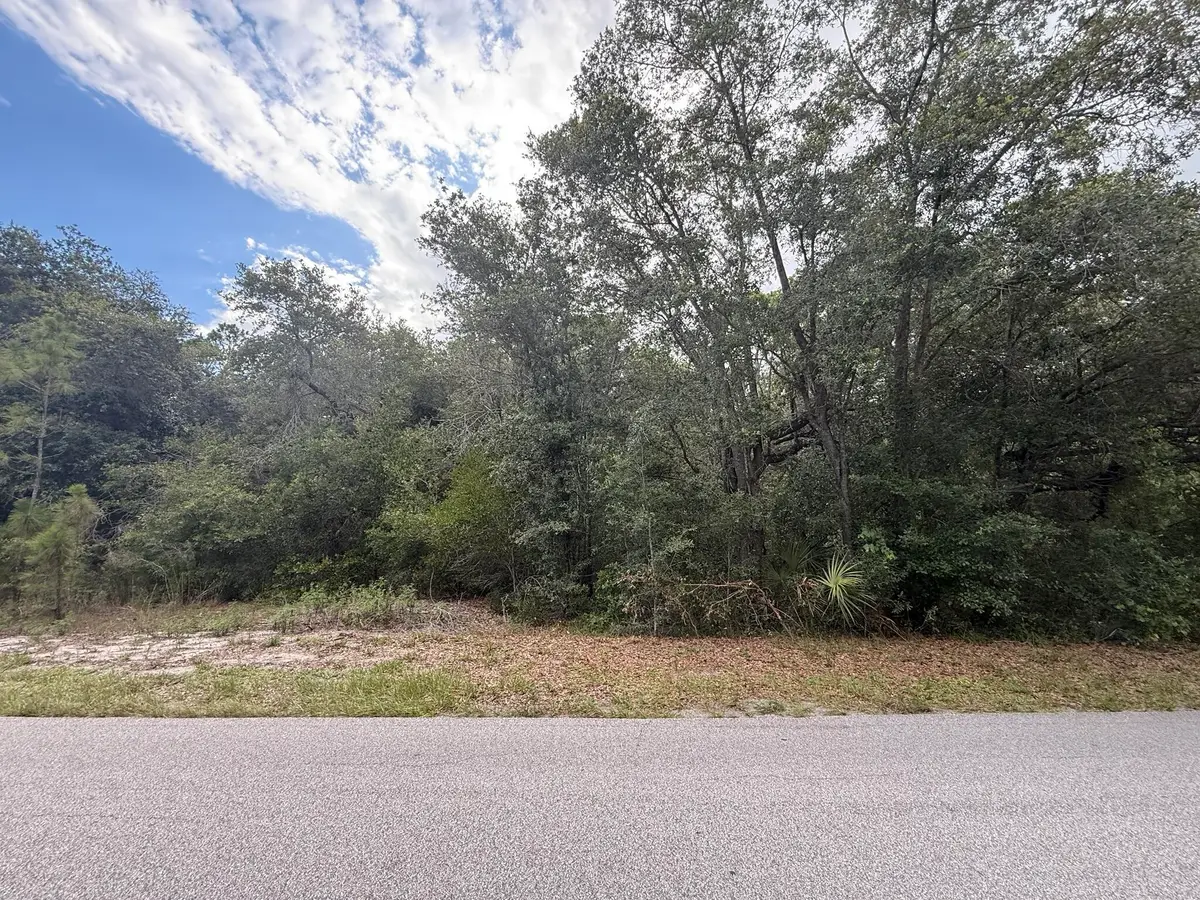 1012 Wildflower Street, Lake Placid, FL 33852 - #1