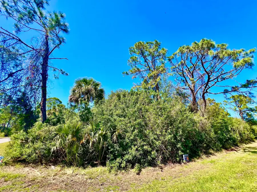 12142 Joyner Avenue, Port Charlotte, FL 33953 - #2