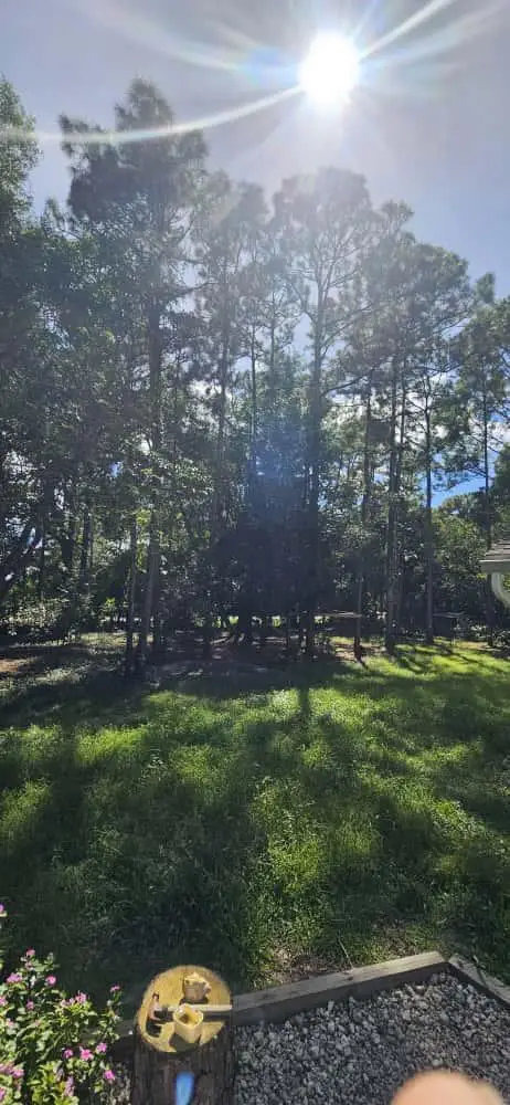 15941 Mellen Lane, Jupiter, FL 33478 - #2