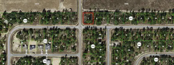 6816 N Sandborn Loop, Dunnellon, FL 34433