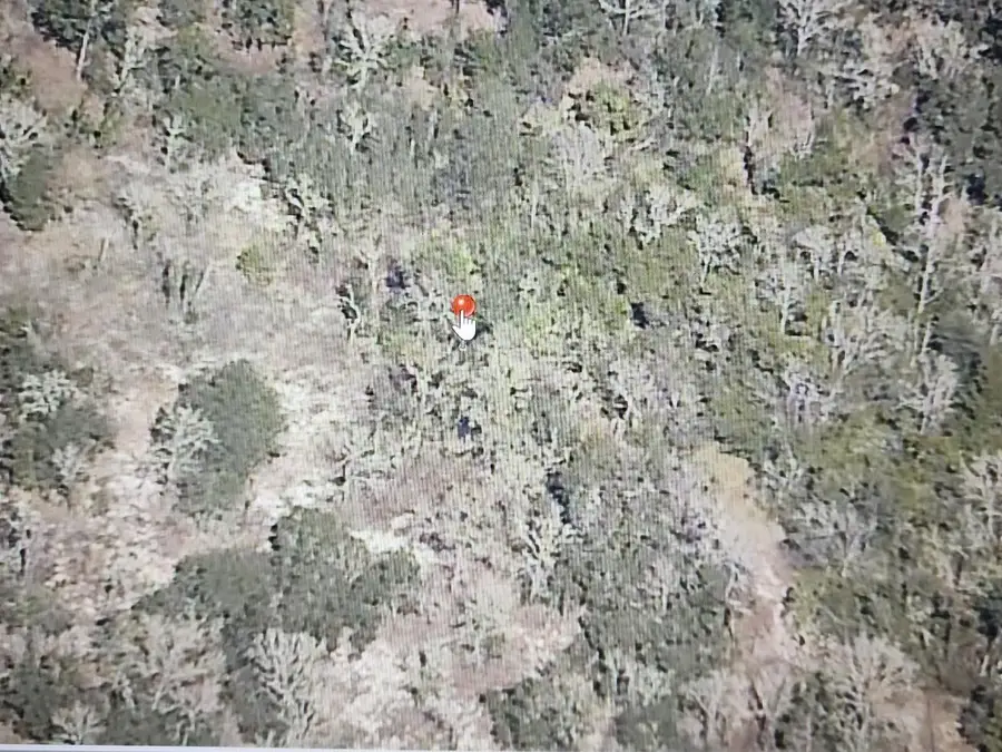 000 SW Paradise Heights Road, Dunnellon, FL 34431 - #2