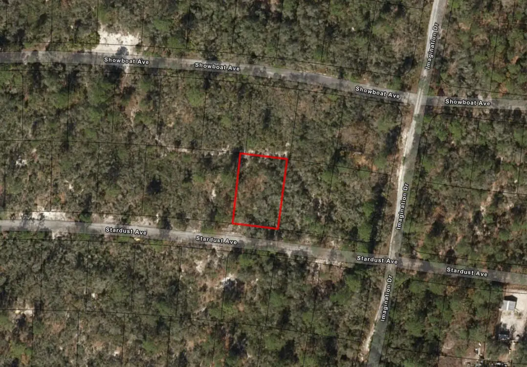 336 Stardust Avenue, Lake Placid, FL 33852 - #1
