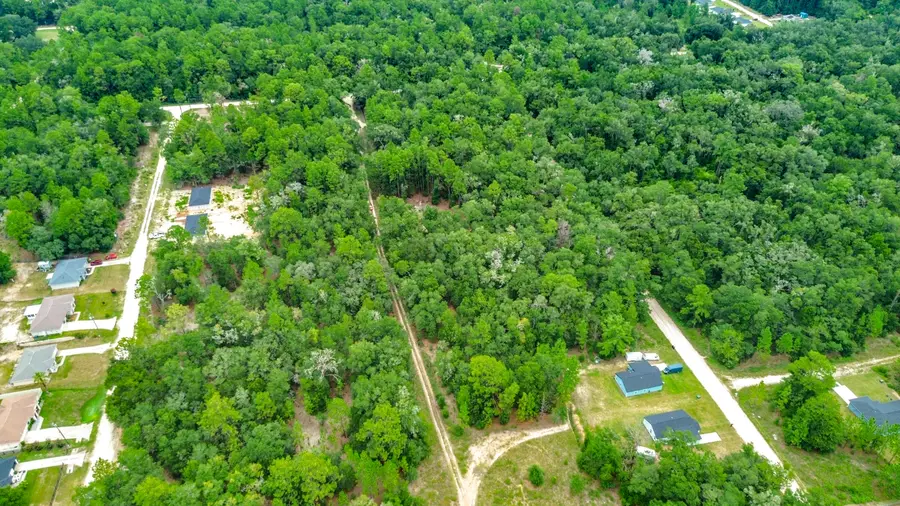 Sw 153rd Avenue SW Rainbow Park Avenue, Ocala, FL 34481 - #2