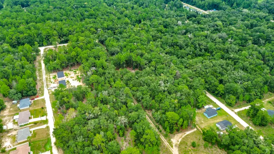 Sw 153rd Avenue SW Rainbow Park Avenue, Ocala, FL 34481 - #3