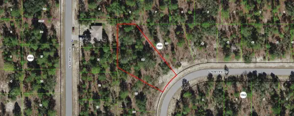 3617 W Parkview Drive, Dunnellon, FL 34433