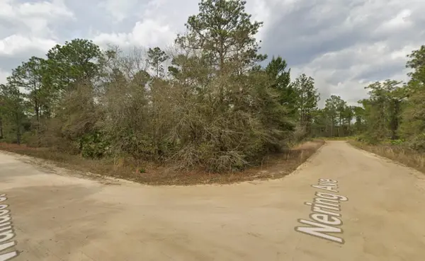 Tbd Wallace Street, Interlachen, FL 32148