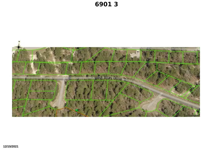 6901 N Swan Point, Dunnellon, FL 34434 - #3