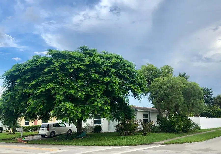 301 5th Street, Jupiter, FL 33458 - #2
