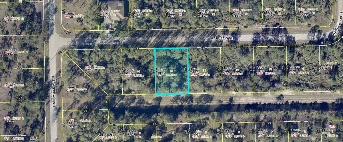 1214 Raphia Street E, Lehigh Acres, FL 33974 - #1