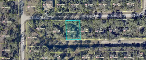 1214 Raphia Street E, Lehigh Acres, FL 33974