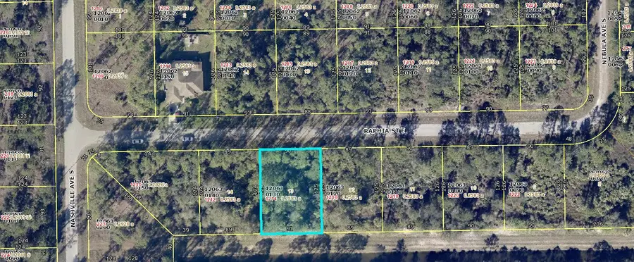 1214 Raphia Street E, Lehigh Acres, FL 33974 - #3