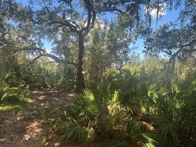 1211 Mayfair Street, Lake Placid, FL 33852 - #2