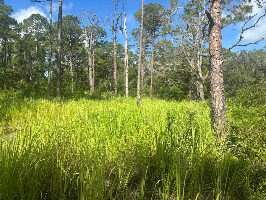 284 Rhapsody Avenue, Lake Placid, FL 33852 - #3