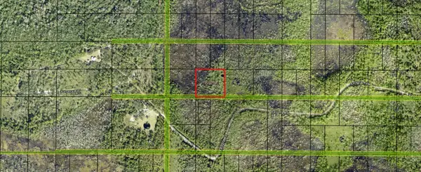 0 Salyers Road, Groveland, FL 34736