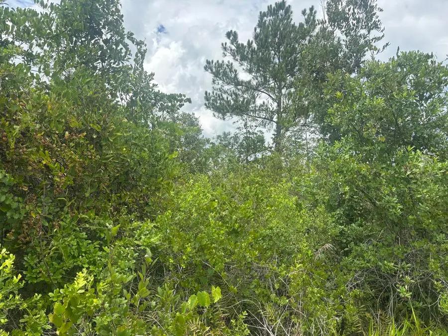 0 Salyers Road, Groveland, FL 34736 - #2
