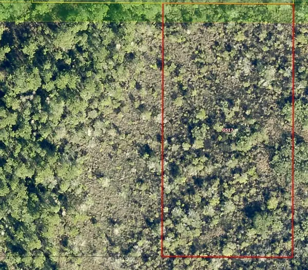 0 Salyers Road, Groveland, FL 34736