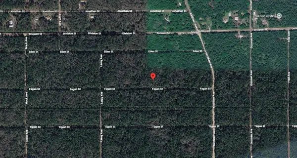 Tbd Fagan Street, Hastings, FL 32145