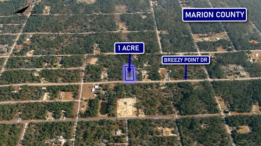 0000 Breezy Point Drive, Dunnellon, FL 34431 - #2