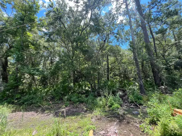 Tbd Franklin Drive, Crawfordville, FL 32327