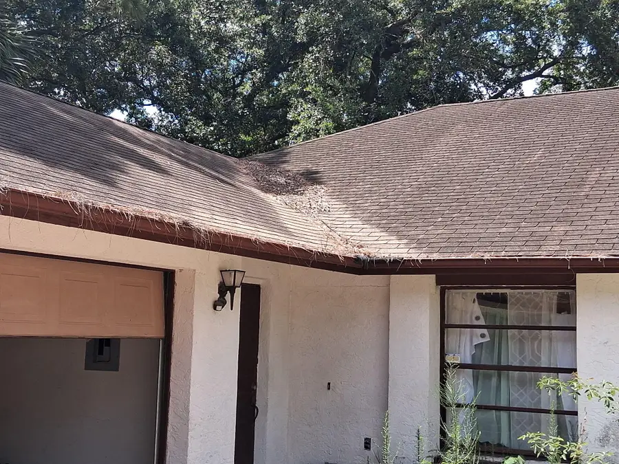 230 Peake Street Ne, Palm Bay, FL 32907 - #3
