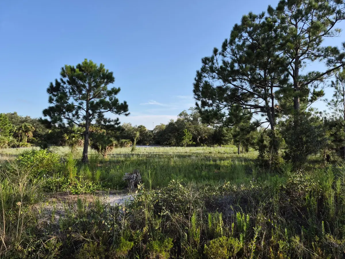 16810 NW 292nd Street, Okeechobee, FL 34972 - #1