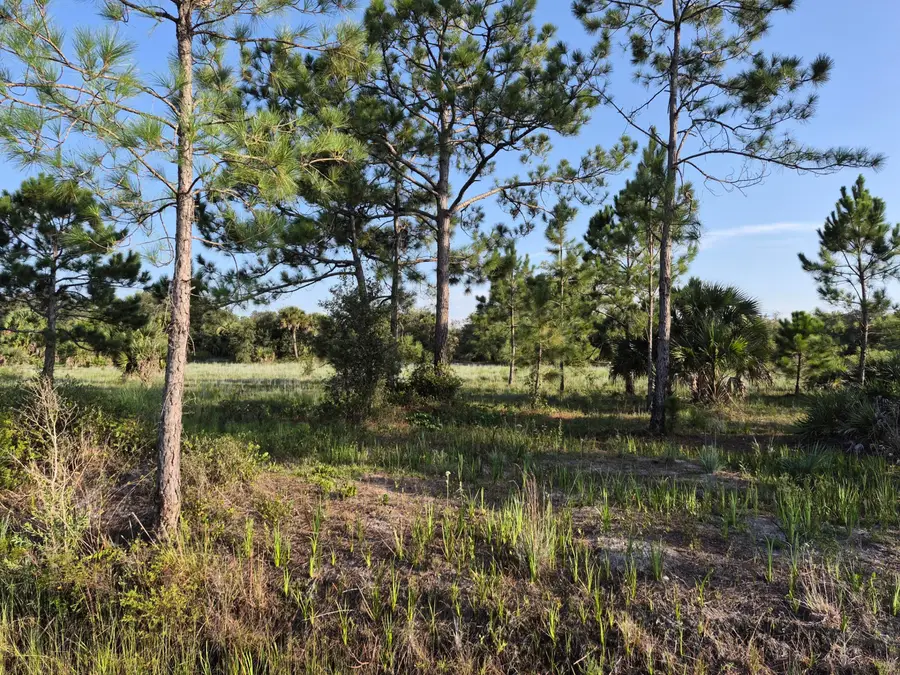 16810 NW 292nd Street, Okeechobee, FL 34972 - #2