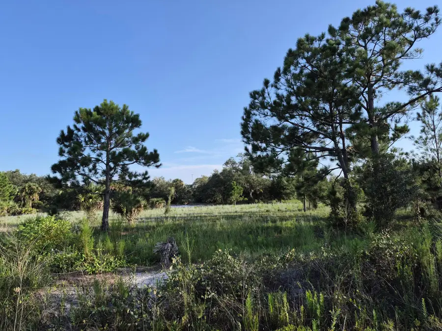 16810 NW 292nd Street, Okeechobee, FL 34972 - #3