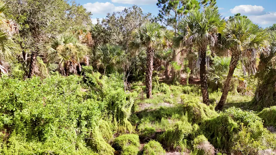 Tbd SW Cardamine Street, Indiantown, FL 34956 - #3