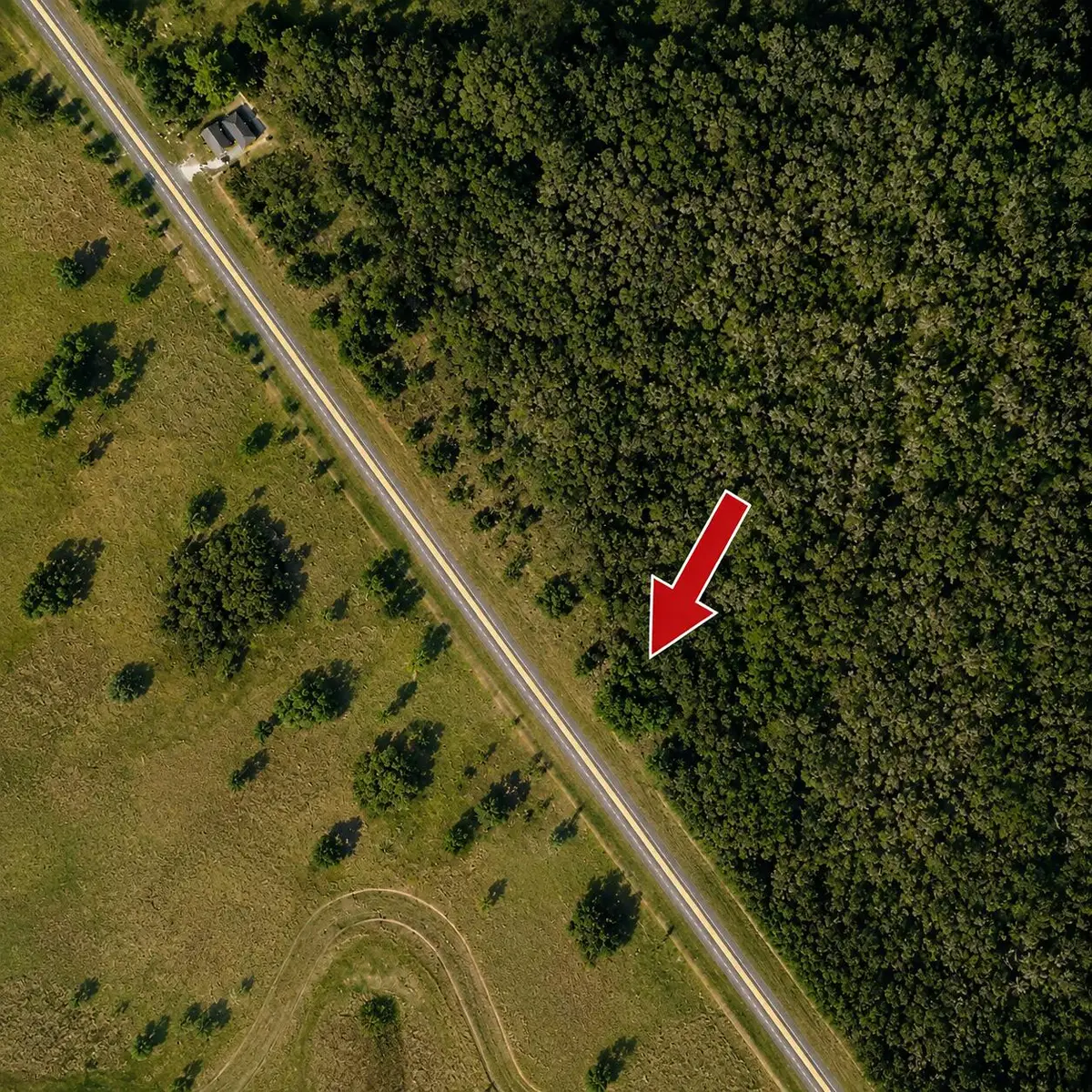 3690 Hwy 98, Okeechobee, FL 34972 - #1