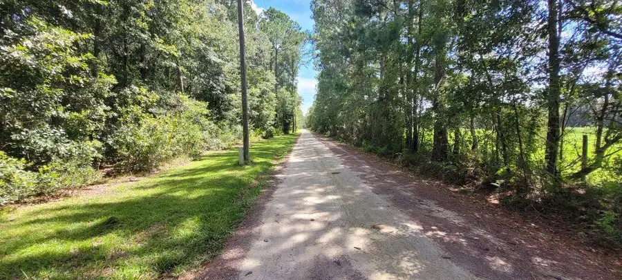 0 NW 198th Lane, Alachua, FL 32615 - #3