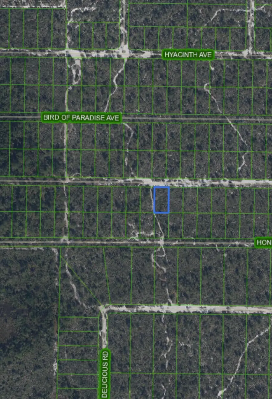 2221 Iris Avenue, Sebring, FL 33875 - #3