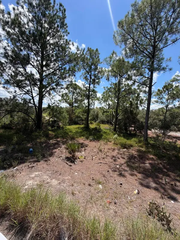 391 Marionette Avenue, Lake Placid, FL 33852