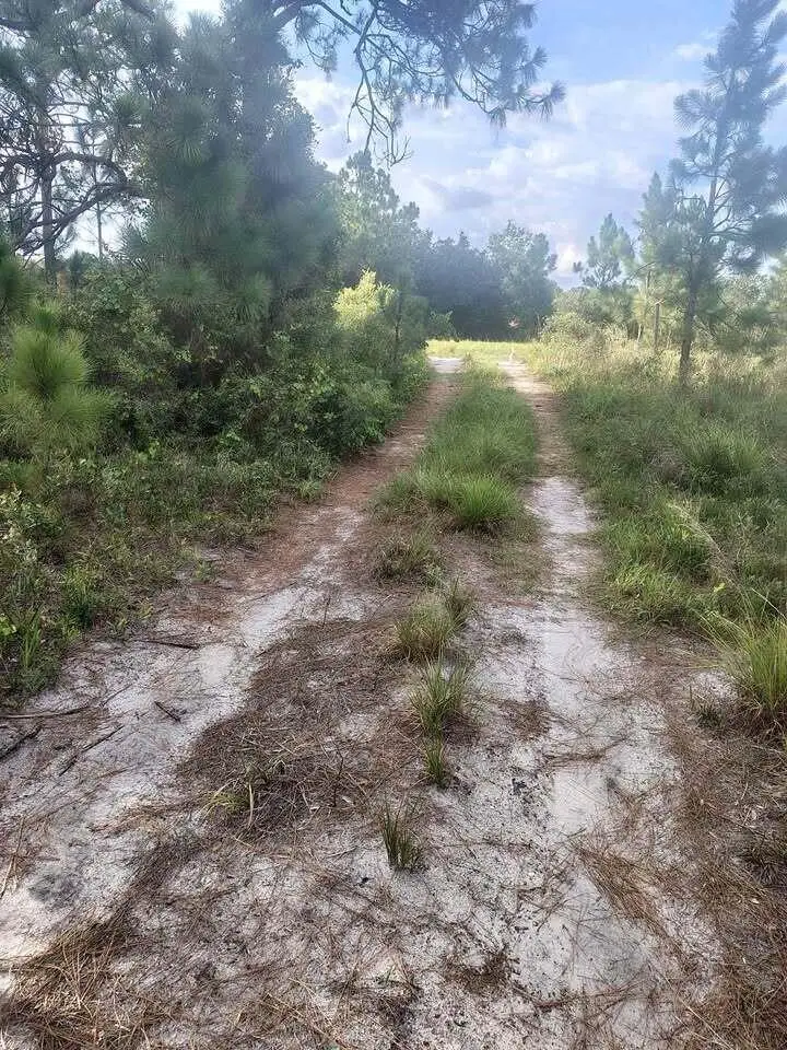 16791 NW 314th Street, Okeechobee, FL 34972 - #2