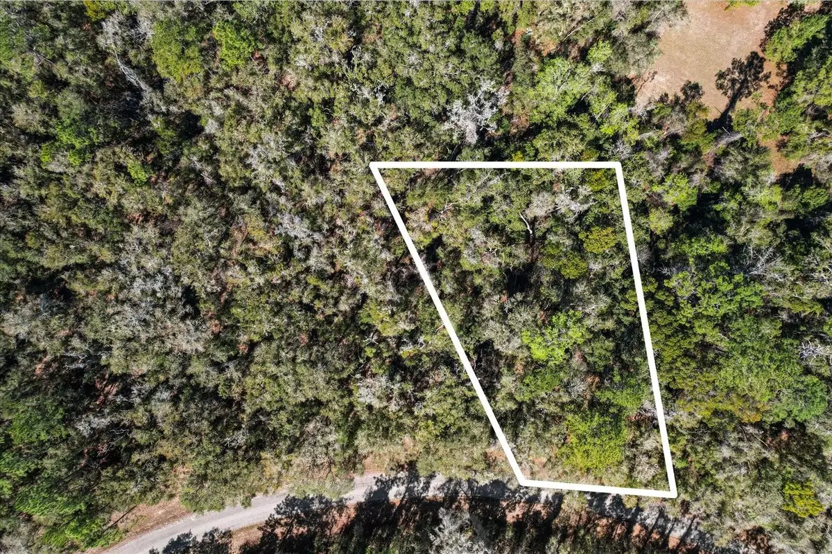 987 E Odin Drive, Dunnellon, FL 34434 - #1