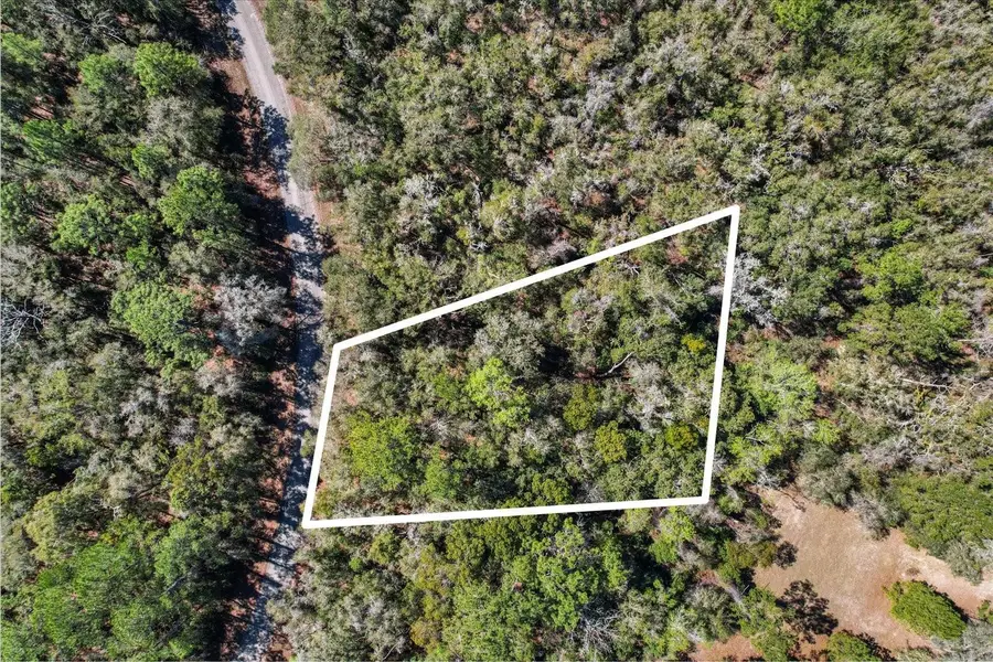 987 E Odin Drive, Dunnellon, FL 34434 - #2