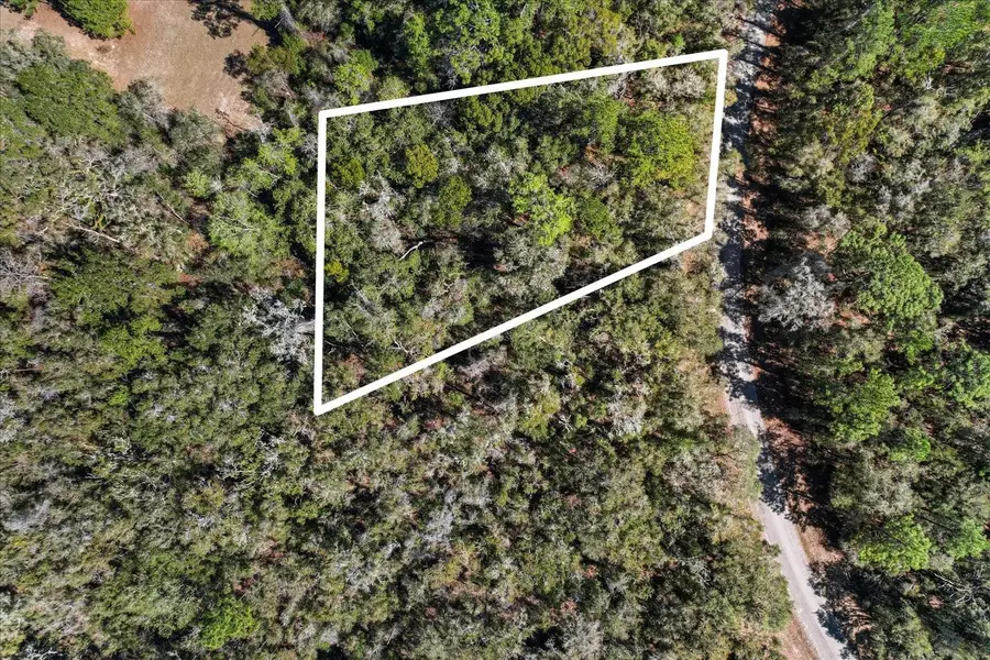 987 E Odin Drive, Dunnellon, FL 34434 - #3