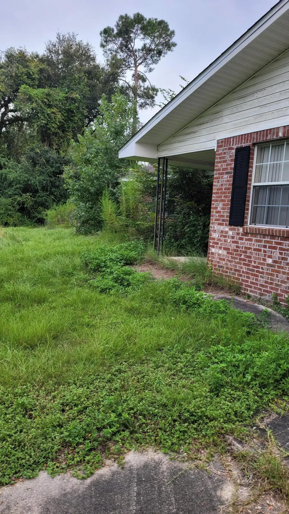 3335 Peanut Road, Cottondale, FL 32431 - #1