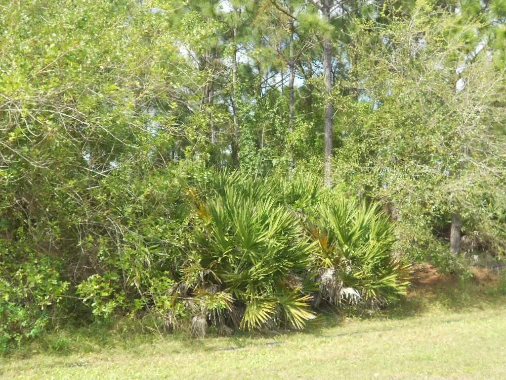 . SE Gilson Road, Port Saint Lucie, FL  - #1