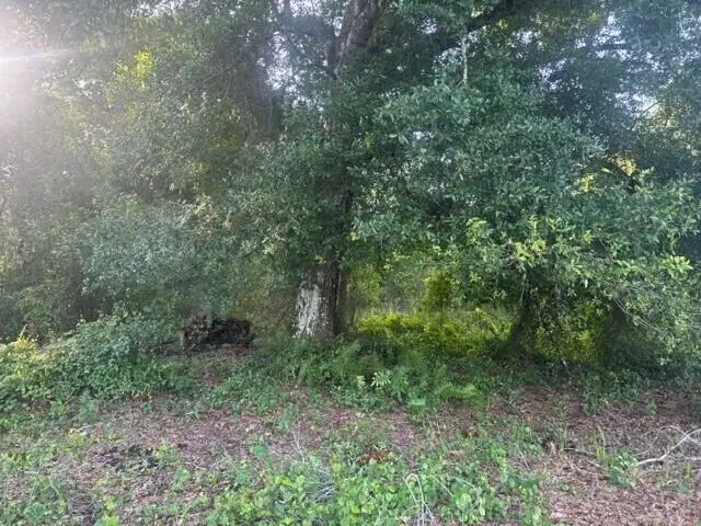 0 Nw 4th Street, Okeechobee, FL 34972 - #3