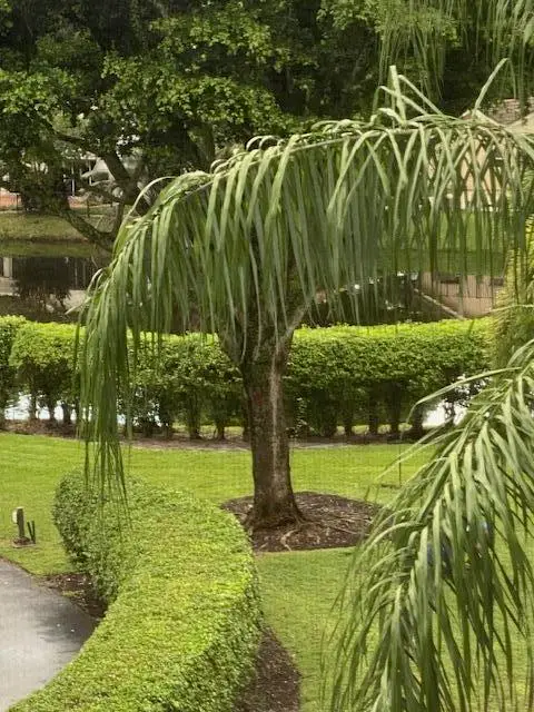 20080 Boca West Drive #448, Boca Raton, FL 33434 - #2