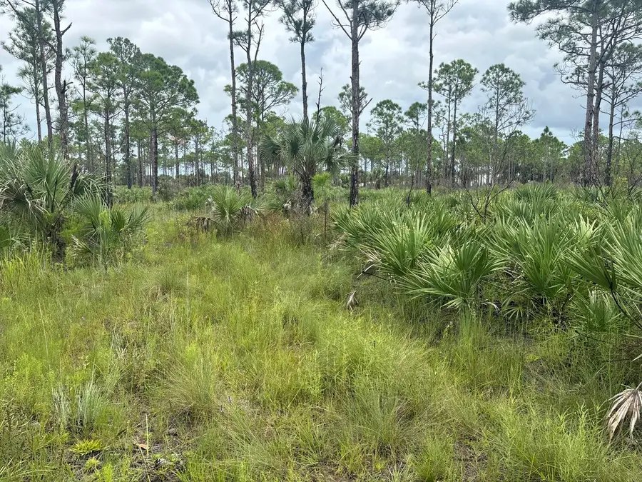 0 Grant Road, Grant Valkaria, FL 32909 - #2