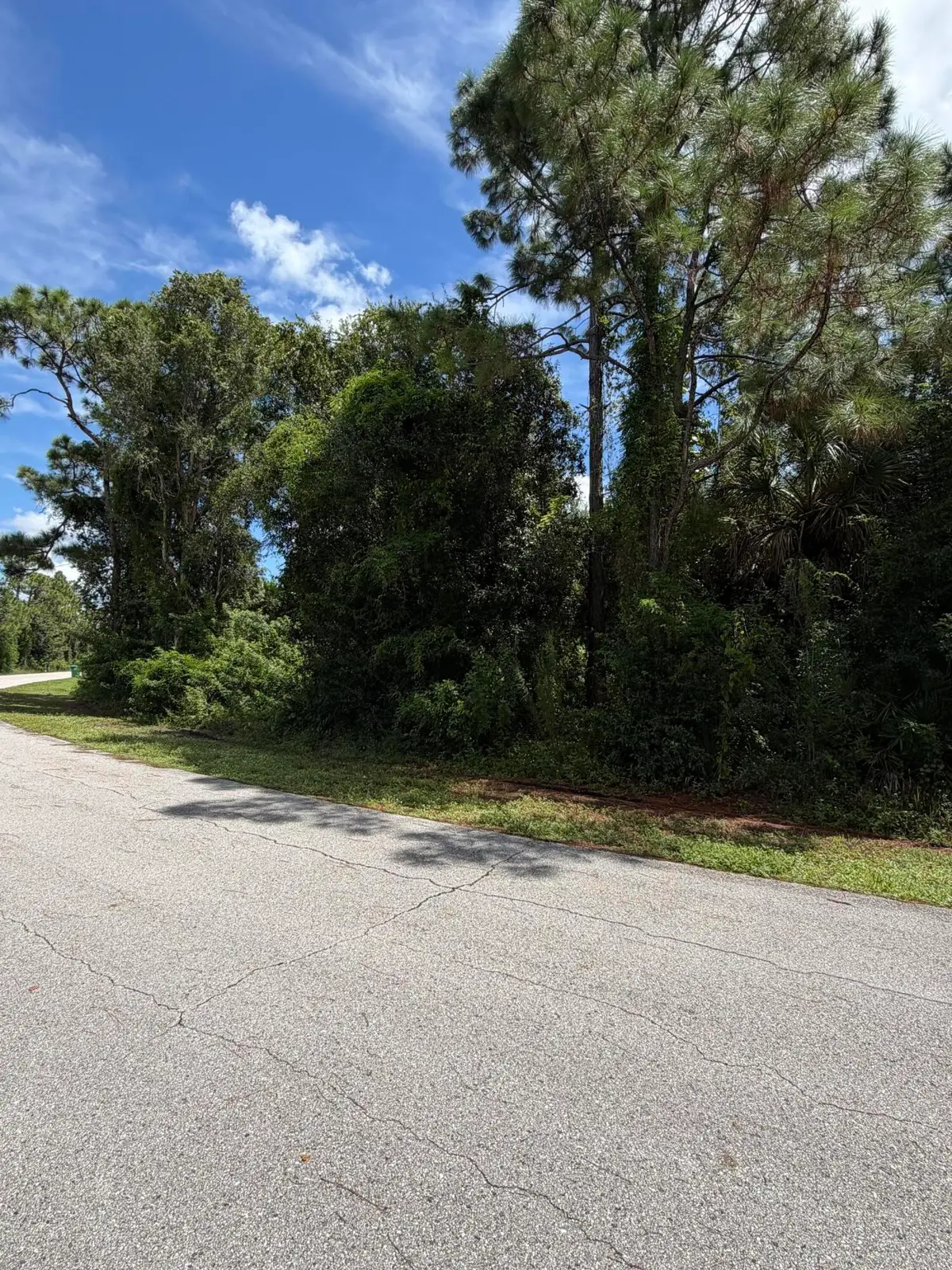 12094 Borax Avenue, Punta Gorda, FL 33955 - #1