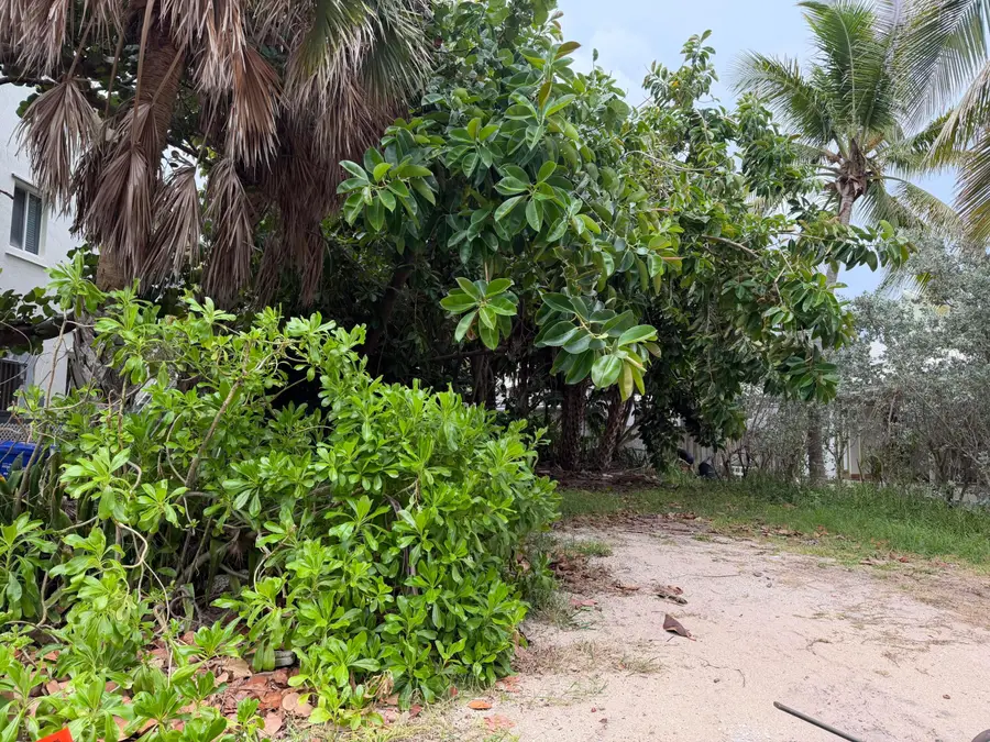 308 Balboa Street, Hollywood, FL 33019 - #3