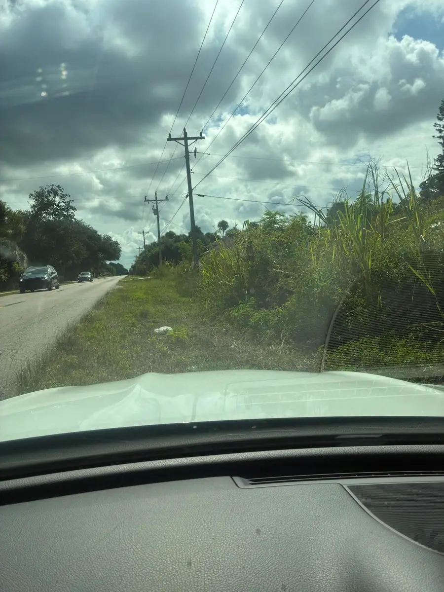 305 W 6th Street, Lehigh Acres, FL 33972 - #3