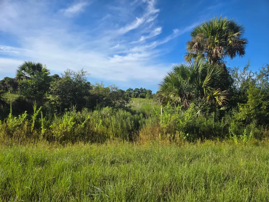 14614 NW 274th Street, Okeechobee, FL 34972 - #3