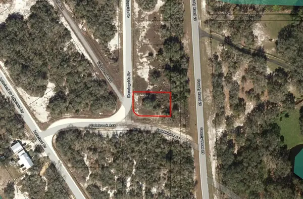788 Morningside Drive, Lake Placid, FL 33852