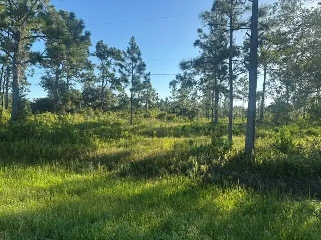 0 N Hwy 441, Okeechobee, FL 34972 - #2