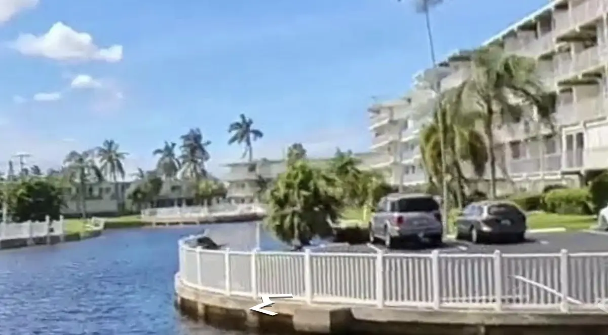 1536 SE 15th Court #210, Deerfield Beach, FL 33441 - #1